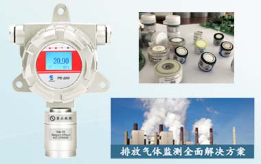 制氧機氧氣濃度檢測儀